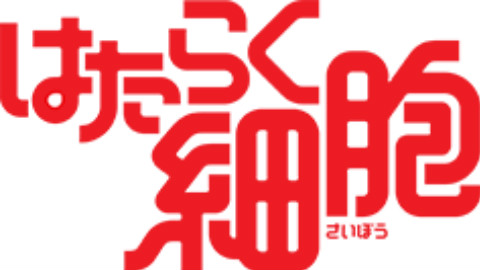 七月新番 工作细胞 PV